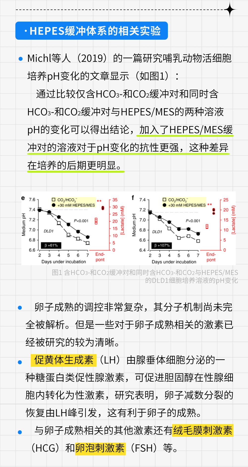稿定設計-5.png